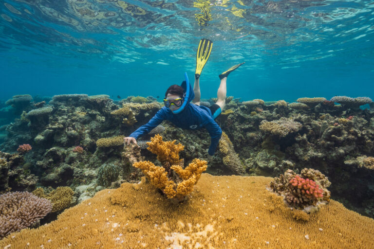 New Hope for Coral Reefs: Scientists Identify Thousands of Climate-Resilient Sites
